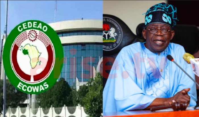 AU, Ecowas set to work with Nigeria president-elect Tinubu