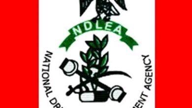 ndlea list of successful candidates