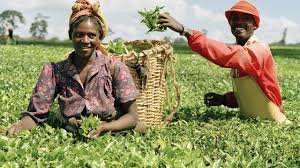 Factors Affecting Agricultural Extension Services In Nigeria