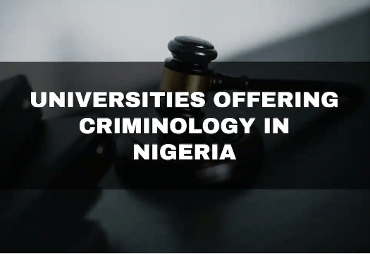 10 Best University In Nigeria For Criminology