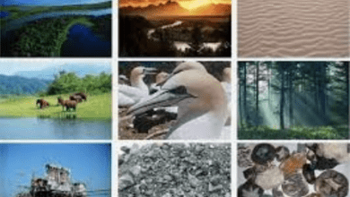 10 Importance Of Natural Resources In Nigeria