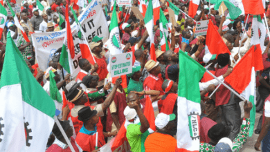 Factors Affecting Trade Union In Nigeria
