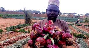 The Role of Horticulture in Nigeria Economy