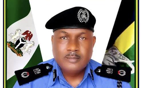 Teenager in police net for allegedly defiling 2 minors in Kano