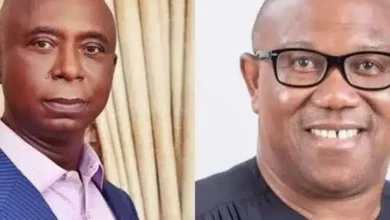 Your Petition Against Tinubu Is A Waste Of Time – Ned Nwoko Slams Peter Obi