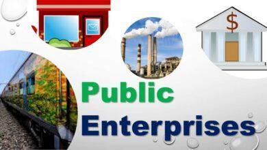 The Role Of Public Enterprises in Economic Development In Nigeria