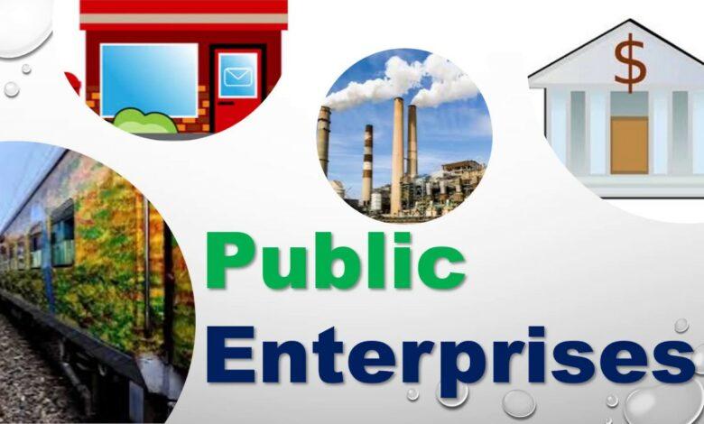 The Role Of Public Enterprises in Economic Development In Nigeria