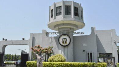 20 Best University In Nigeria To Study Geology