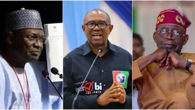 Tinubu’s Victory: “INEC’s Server Logs Show Manipulated Election Results”, Peter Obi Reveals in Court