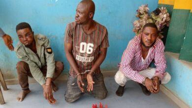 Land grabbers apprehended in Ogun