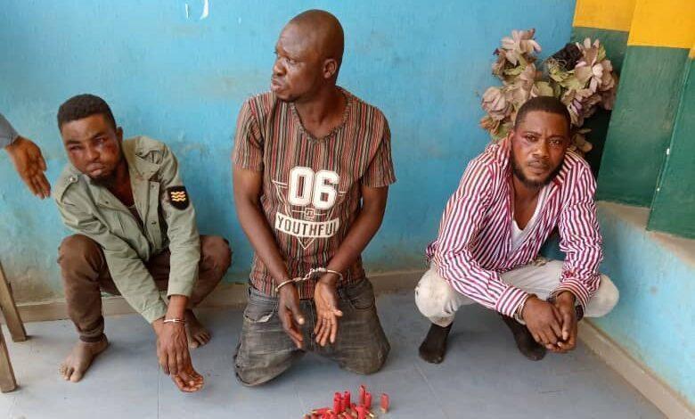 Land grabbers apprehended in Ogun