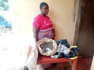 NDLEA apprehends pregnant woman, cripple in Edo with different illicit drugs