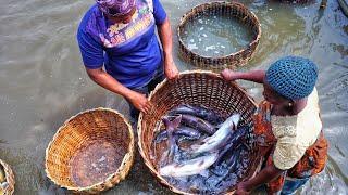 10 Influence of Climate on Fishing and Aquaculture in Nigeria