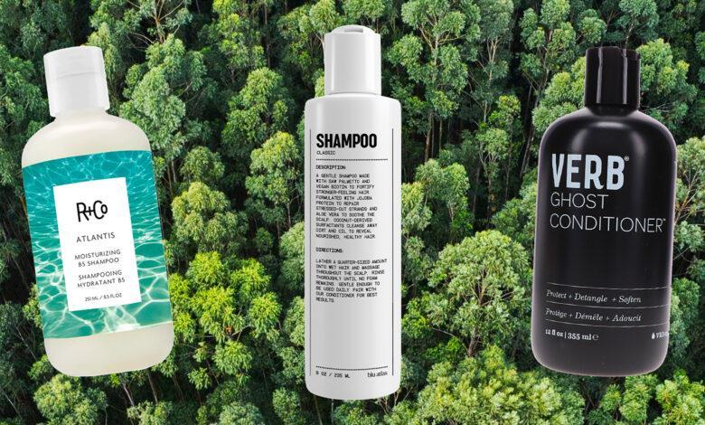 15 Best Shampoos for African American Dry Scalp