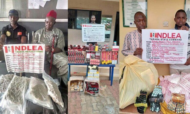 NDLEA apprehends 218 suspects with 5,610kg illicit drugs in Kaduna