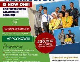 The Polytechnic Ojoku Admission Form