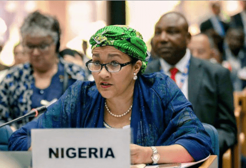 Role of Nigeria in the United Nations