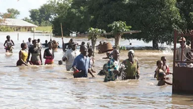 Jigawa records first rainfall of the year
