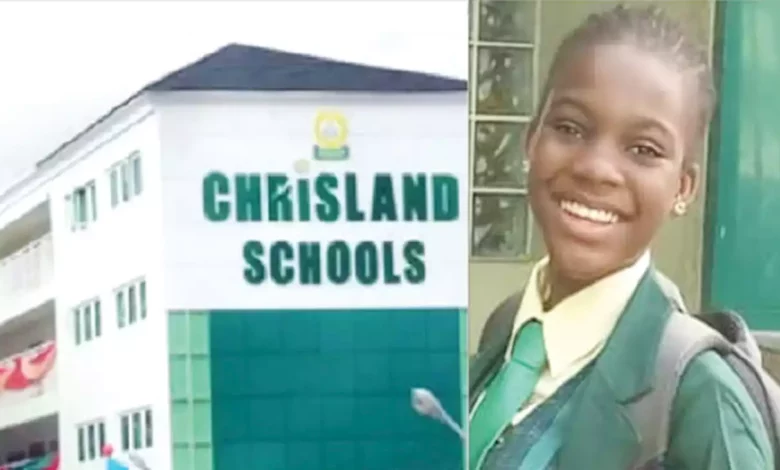 Chrisland School’s Whitney wasn’t electrocuted, says witness
