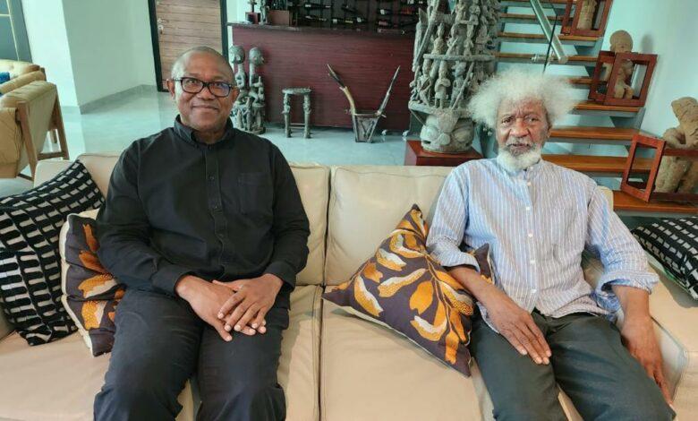 ‘Reconciliation’ not mentioned during Obi’s visit, Soyinka says