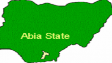 Contamination has killed aquatic animals, destroyed our farms – Abia community cries out