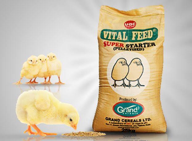 Top 15 Best Poultry Feed Company in Nigeria