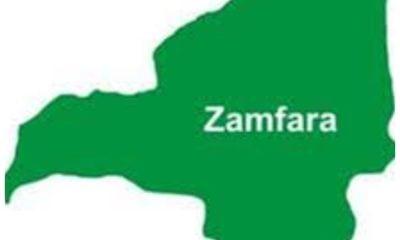 Bandits roaring like wounded lions unchallenged in Zamfara – Danbaba