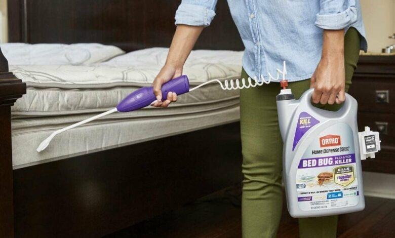 15 Best Bed Bug Killer Sprays