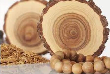 Top 15 Most Expensive Wood in the World