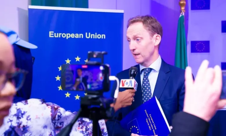 2023 poll: Keyamo, Fani-Kayode promoted fake news – EU report claims