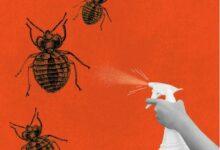 Top 15 Bed Bug Prevention Products