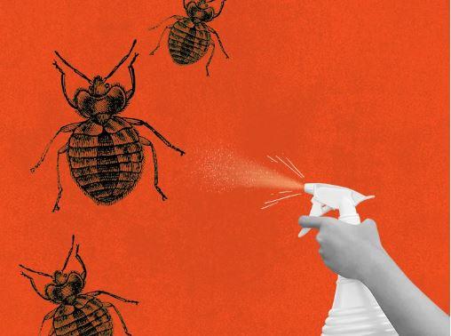 Top 15 Bed Bug Prevention Products