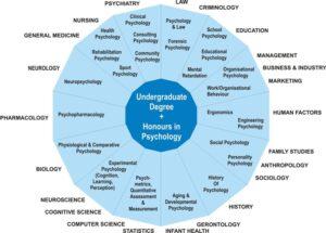 Psychology Degree Jobs 