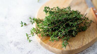 Medicinal Properties of Herbs