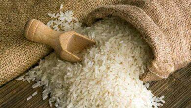 Top 15 Basmati Rice Importers in Nigeria