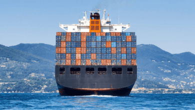 Top 15 Ships with the Largest Cargo Capacity