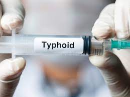 Top 6 Typhoid Fever Antibiotics and Herbal Remedies