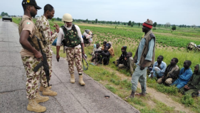 Eight Boko Haram fighters surrender to Nigerian troops