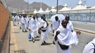 2023 Hajj: Nigeria loses 14 pilgrims in Saudi Arabia