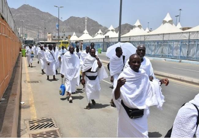 2023 Hajj: Nigeria loses 14 pilgrims in Saudi Arabia