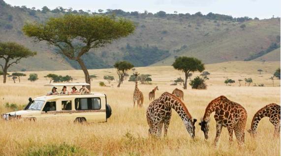 Top 15 Nigerian Safari Parks