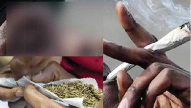 Troops Apprehend Two, Impound 397 Wraps Of Marijuana