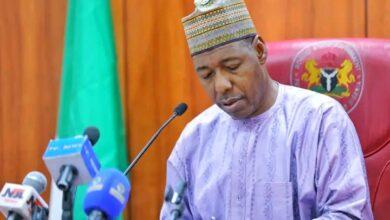 Borno Governor Okays N2bn Workers’ Loan, 30 Buses To Ease Transportation