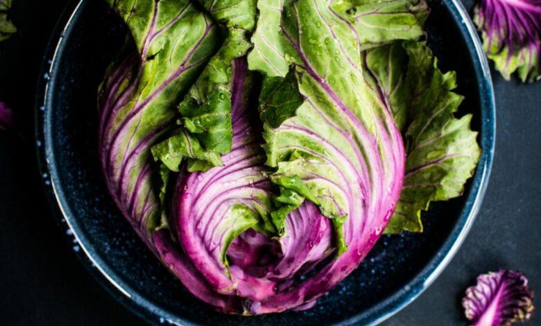 15 Most Nutrient-Dense Vegetables