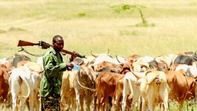 Why it’s pivotal to fight farmers-herders clashes in Delta, Bayelsa – Stakeholders