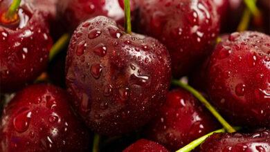 Top 15 Health Benefits of Eating Cherries