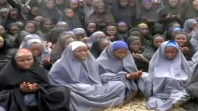 Over 1,680 Nigerian school children abducted since Chibok girls kidnapping – SCI