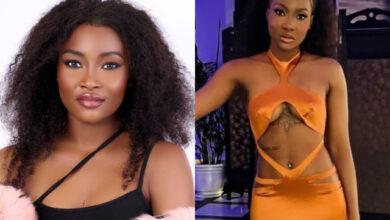 “That girl lies a lot, always twisting the truth” — Doyin rages, exposes Ilebaye