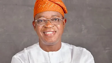 My ministerial appointment is call to service - Oyetola