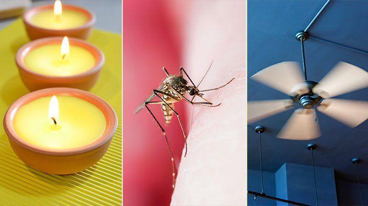 Top 15 Natural Ways to Repel Mosquitoes